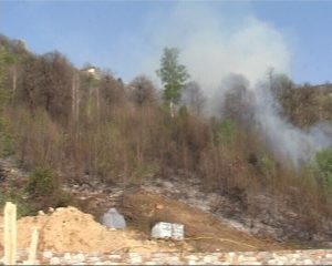 Incendio boschi solato