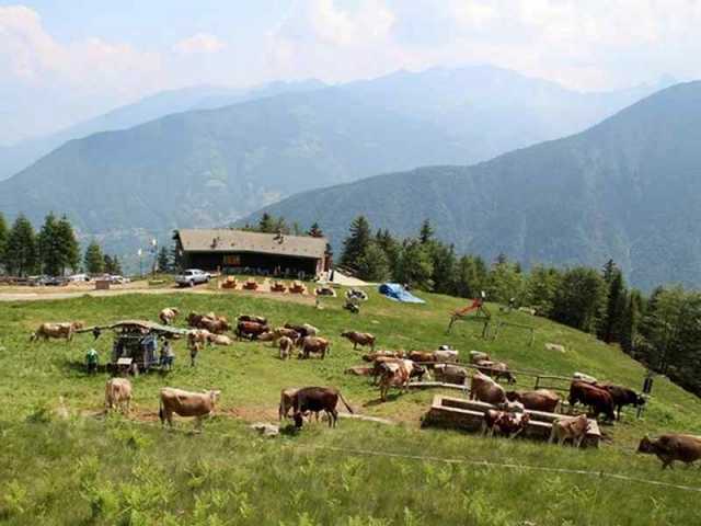 malghe malghe