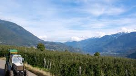 Frutteto Valtellina Frutteto Valtellina.jpg