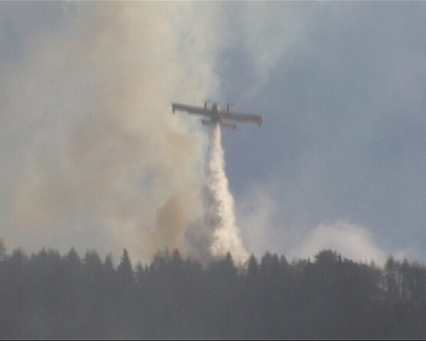 Incenbio Campolaro 1