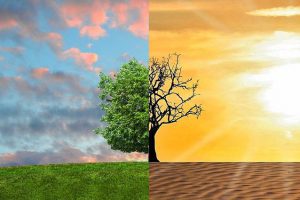 cambiamenti climatici agricoltura