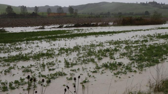 maltempo agricoltura bergamasca maltempo agricoltura bergamasca