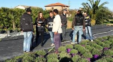 Lavoro nmero fiamme gialle Lavoro nmero fiamme gialle.jpg