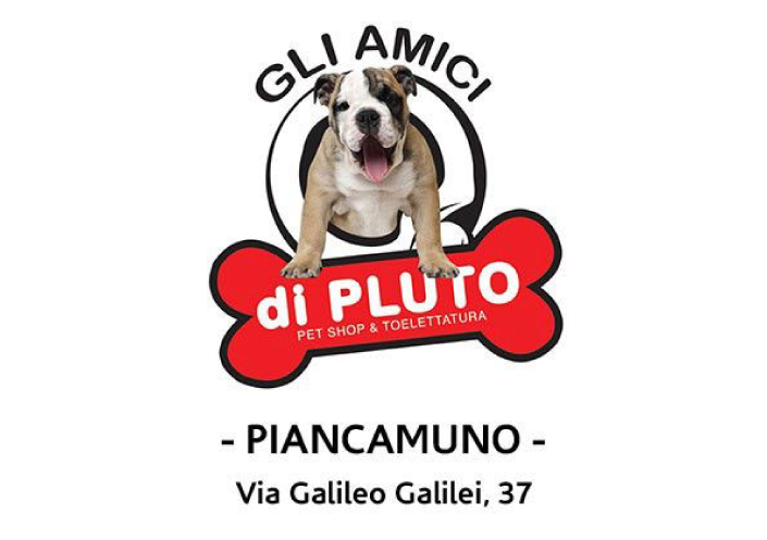 gli amici di pluto