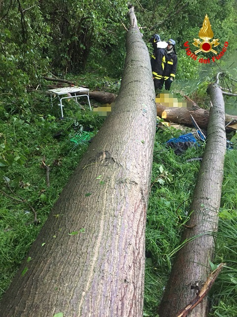 morte persone albero
