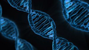 Dna Ospedale