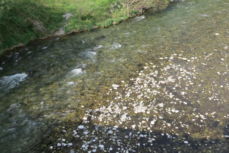 Fiume Oglio Fiume Oglio