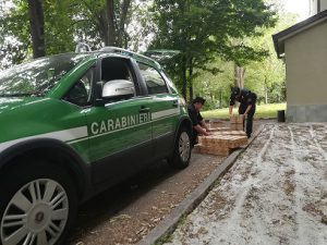 bracconiere uccellini.jpg