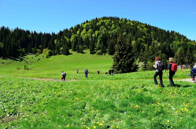 sapori di montagna gandino