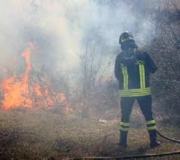 Incendio sterpaglie.jpg