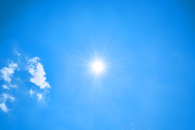 Sole Sole