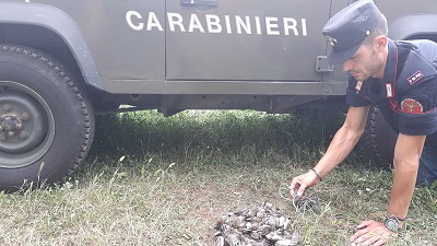 CC forestali sep.jpg
