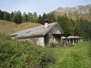 MAlga Zumnella