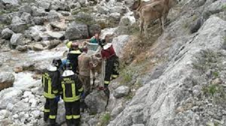 VVFuoco Serio VVFuoco Serio.jpg