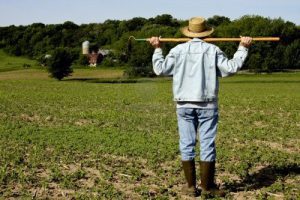agricoltori custodi biodiversità