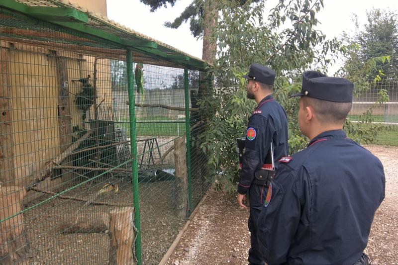 Casa zoo
