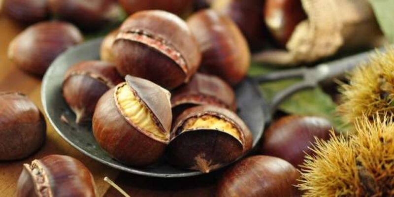 castagne castagne