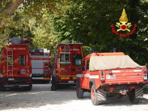 ricerca dispero lao di garda