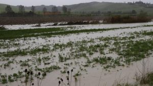 maltempo agricoltura bergamasca