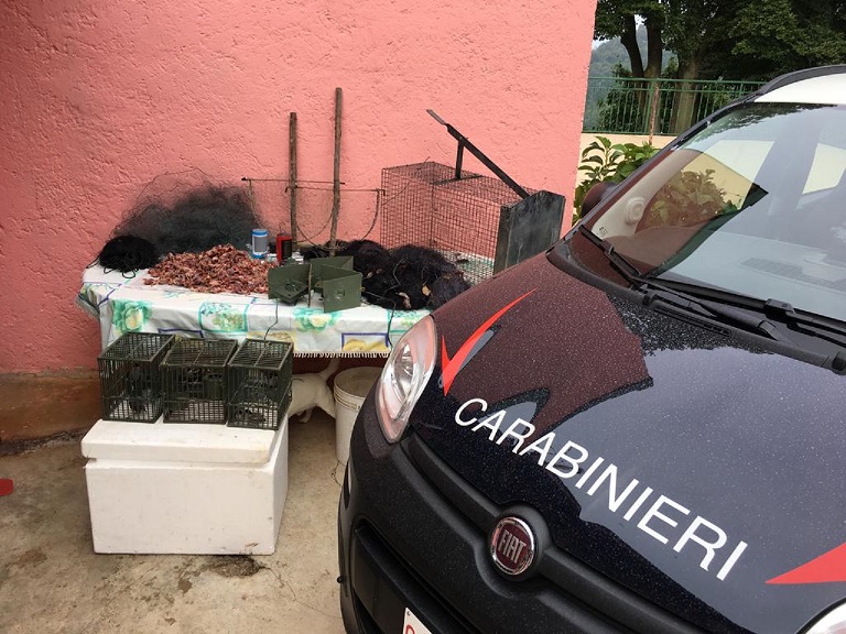 Carabinieri forestali foto.jpg