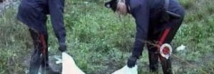 cadavere nei campi.jpg