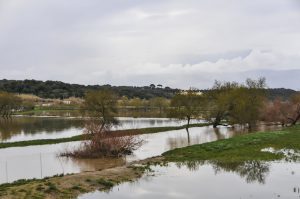 coldiretti allagamenti