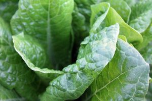 green vegetables 1149790 640