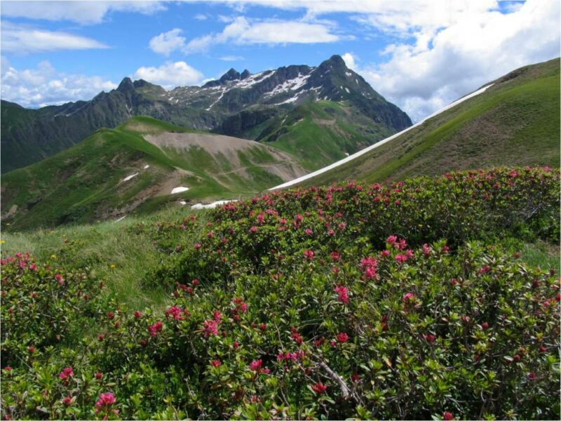montagna