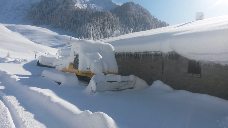 neve Bazena.jpg