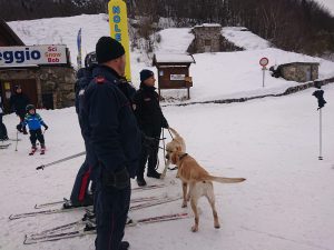 IMG 20191215 WA0004