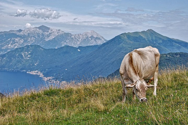 agricoltura di montagna