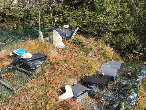 bracconaggo uccelli 1