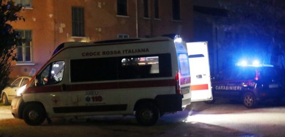 Carabiniere salva la viota Carabiniere salva la viota