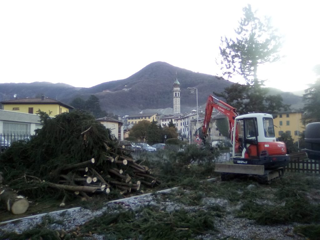 alberi gandino scuola materna alberi gandino scuola materna