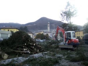 alberi gandino scuola materna