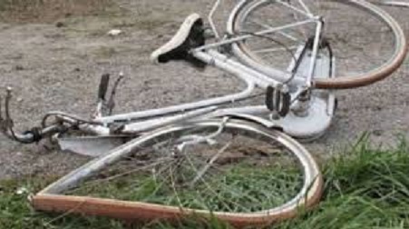 bici bici.jpg