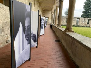 mostra frida e le altre
