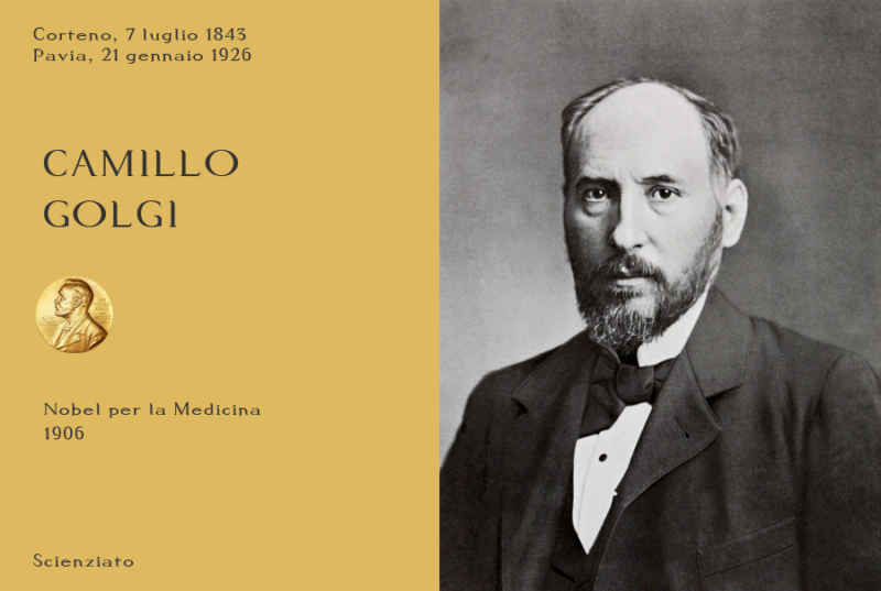 nobel 1906 camillo golgi nobel 1906 camillo golgi