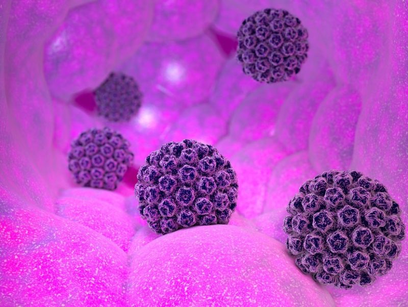 papilloma virus scaled papilloma virus
