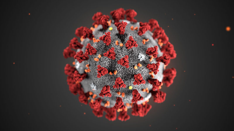 Coronavirus1 scaled Coronavirus1 scaled