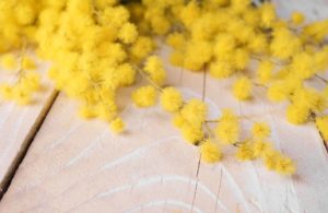 Fioristi bergamaschi chiedono contrasto all'abusivismo durante la festa della Donna