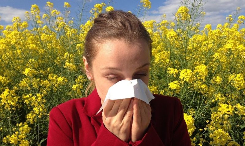 le allergie respiratorie scaled le allergie respiratorie scaled