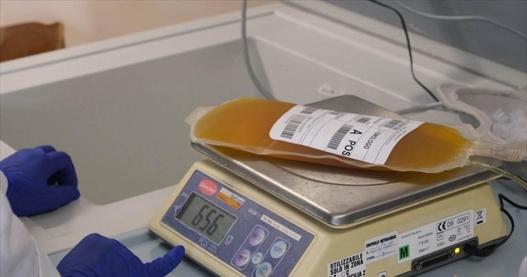 covid e plasma