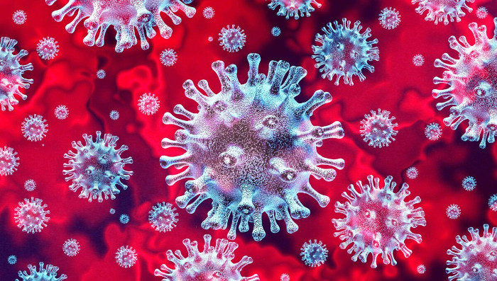 i virus i virus