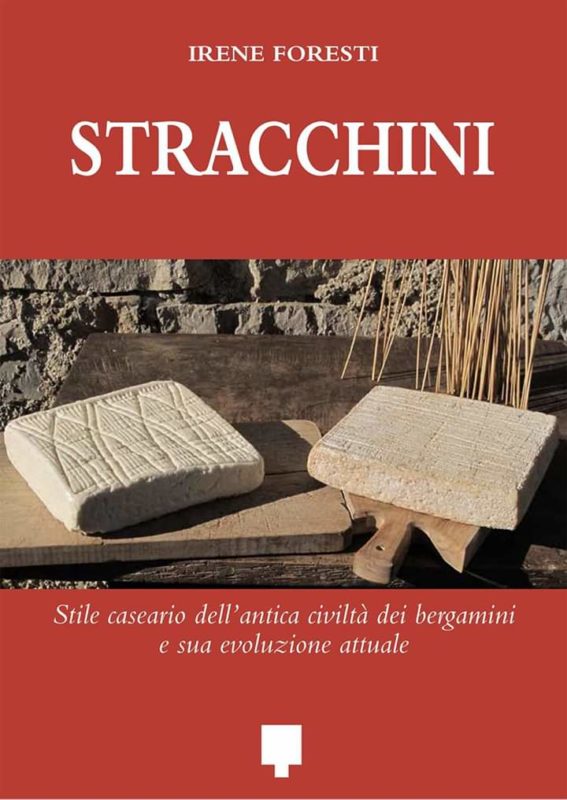 libro stracchini scaled libro stracchini scaled