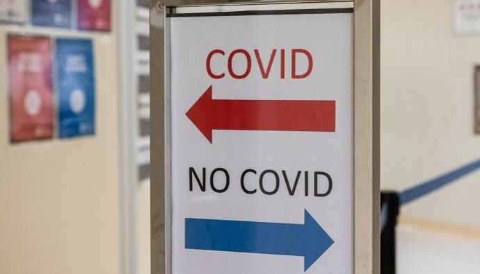 covid no covid covid no covid