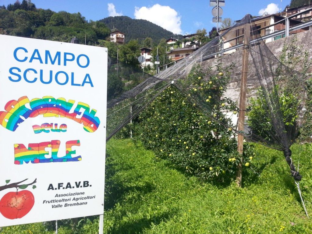 arcobaleno delle mele