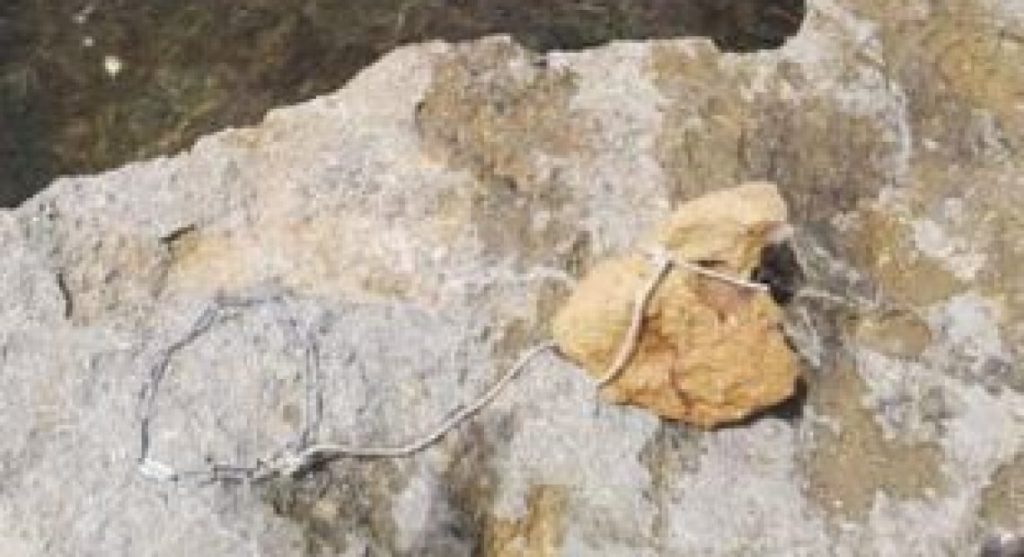sasso corda