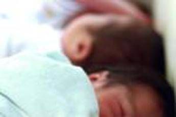 Neonati prematuri uccisi da batterio a Bolzano cose il Serratia marcescens Neonati prematuri uccisi da batterio a Bolzano cose il Serratia marcescens
