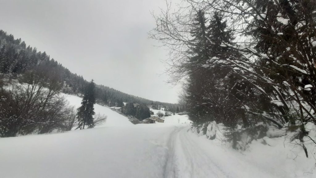 neve neve